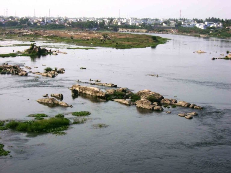 Aadi Perukku: A Guide to Tamil Nadu’s River Festival