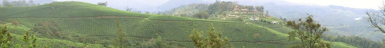 Chennai to Munnar: Tea Hills Getaway Guide