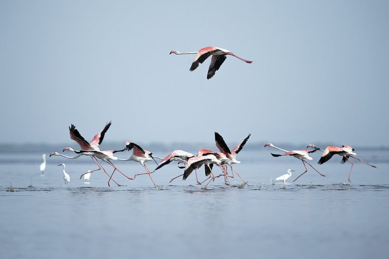 Chennai to Nellore: Trains, Buses and the Complete Guide
