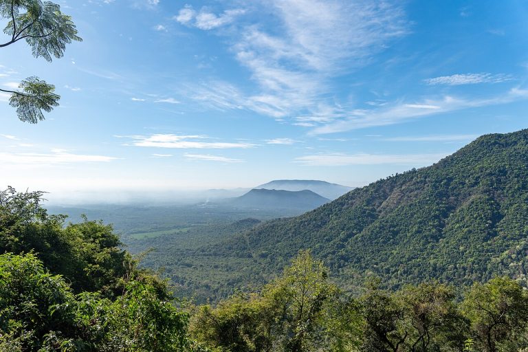 Chennai to Ooty: The Nilgiris and Toy Train Guide