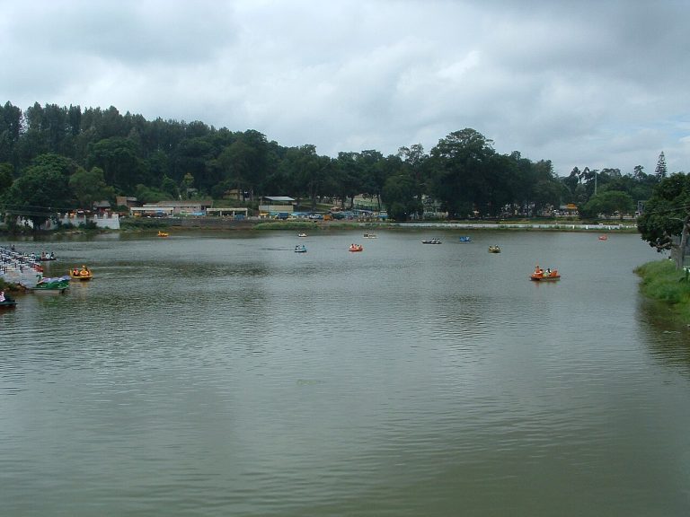 Chennai to Yercaud: The Closest Hill Station Weekend Guide