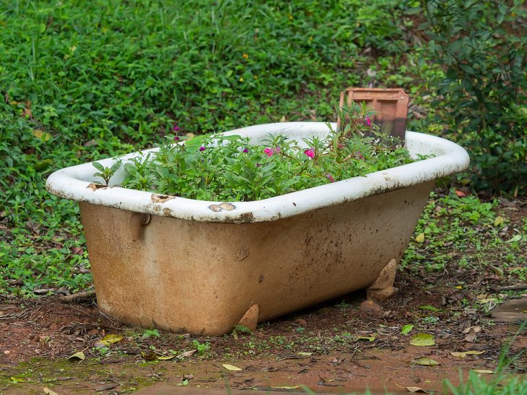 Chikmagalur: A Travel Guide to India’s Coffee Country