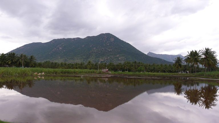Javadi Hills: An Offbeat Eastern Ghats Escape from Chennai