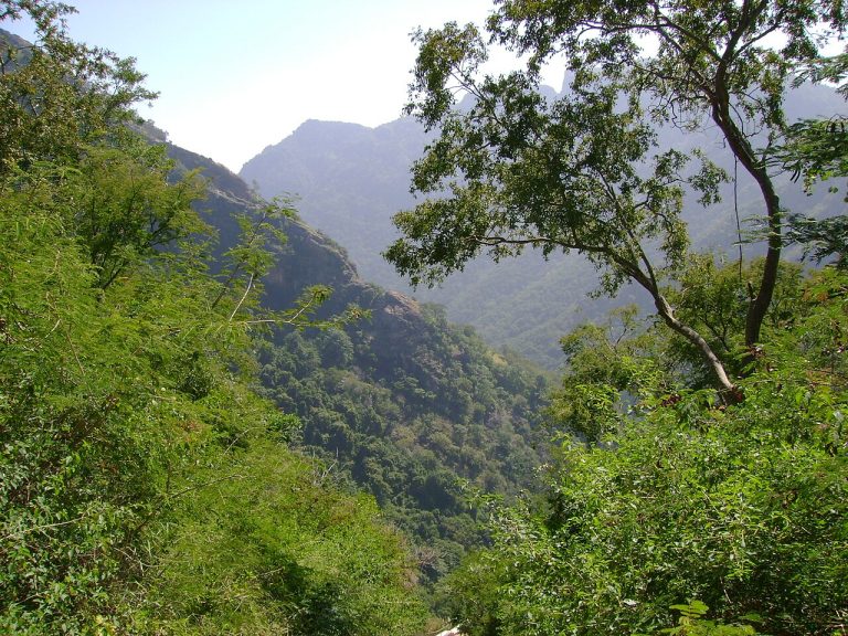 Kolli Hills: An Offbeat Hill Station Guide from Chennai