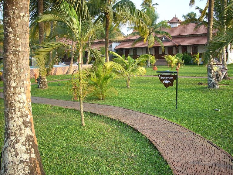Kumarakom: A Travel Guide to Kerala’s Backwater Bird Village