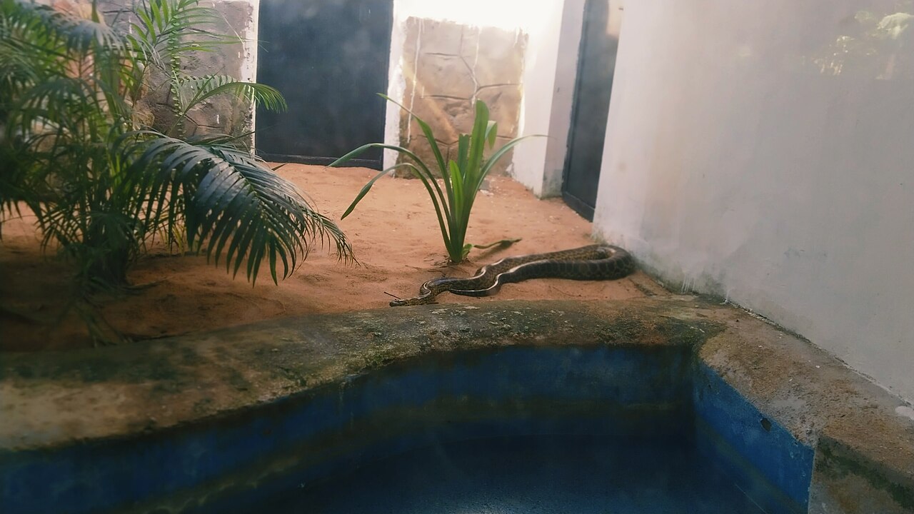 Vandalur Zoo, Chennai