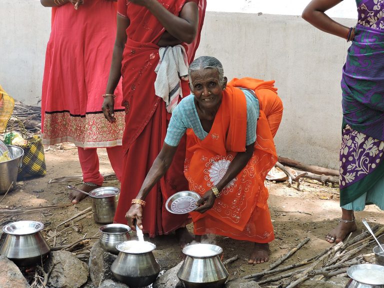 Pongal: A Guide to Tamil Nadu’s Great Harvest Festival