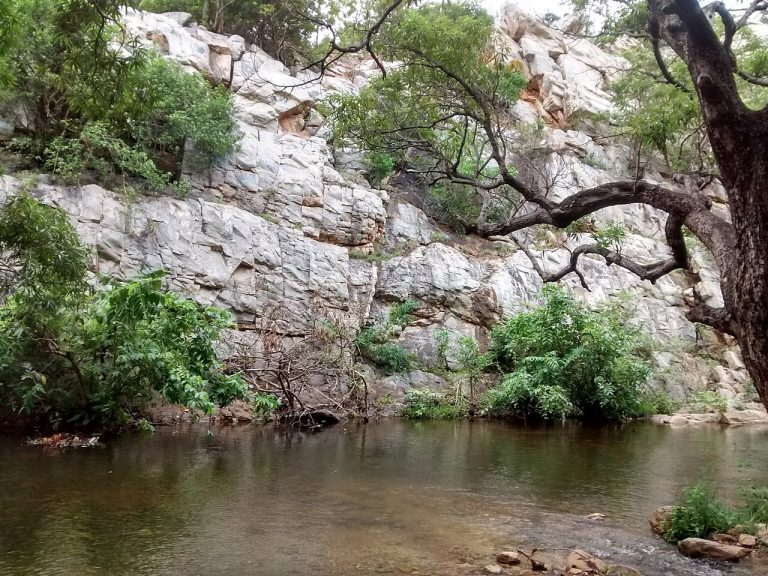 Tada Falls (Ubbalamadugu): A Trek Guide from Chennai