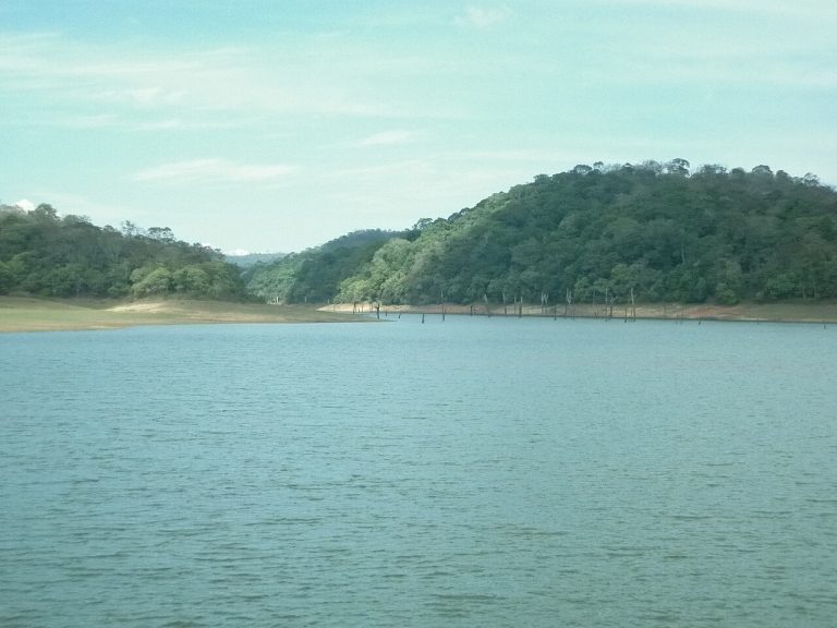 Thekkady: A Travel Guide to Periyar’s Wildlife and Spice Hills