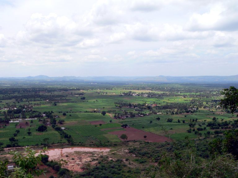 Chennai to Yelagiri: Complete Travel and Trip Guide