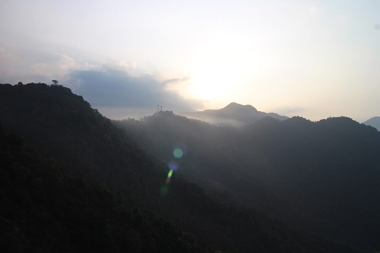 Wayanad: A Travel Guide to Kerala’s Green Hill District