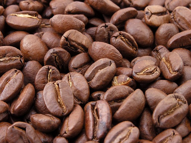 The Best Cafes in Chennai: From Filter Coffee to Third Wave Brews